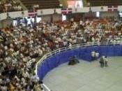 Ahora Miguel convoca convención; Hopólito, anuncia otra.