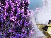 nuestra esencia está poder para lograrlo