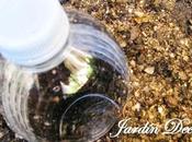 Riego vacaciones botella