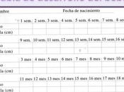 Tabla desarrollo bebé