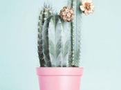 Ideas Deco: vida casa cactus