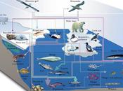 Introducción ecosistemas acuáticos