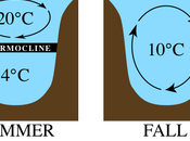 Estratificación térmica