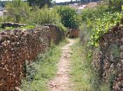 ARIAS FAVORITAS tesoro "Alcina"