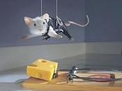 Mensaje para personal: Tomen Riesgos