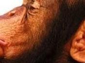 Educar ataduras conocimiento