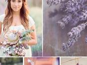 Para gustos, colores: Lavanda