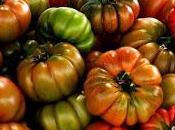 Hortalizas fruto