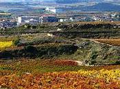 sabático para disfrutar vino