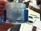 Innovación empresarial buenas prácticas (Cap. Escuchar cliente)