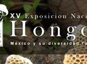 “México diversidad fúngica” (D.F., México)
