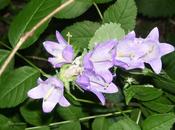 LOOK238-26.8.20138:15¡¡Hola nuevo,amiga!!Espero te...