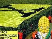 precio medioambiental exportaciones
