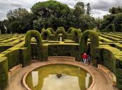 educación para salir laberinto dualidad