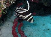 LOOK240-28.8.20138:15¡¡Hola amiga!!Ya miércoles para