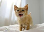 Confianza arma poderosa