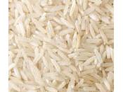 Comida para compartir mascota mejor nuestros perros