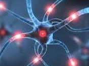 Simplificando conocimiento: materias como neuronas