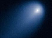 amistades cometas