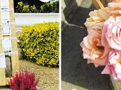 idea chic para boda