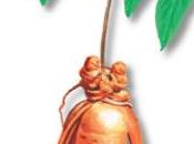 Ginseng