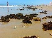 Cádiz