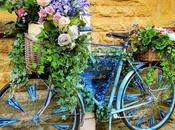 LOOK245-6.9.20138:15¡¡Hola nuevo!!Amiga encontr...