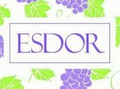 Divine Esdor