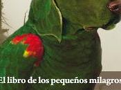 Novedad Páginas Espuma: libro pequeños milagros', Juan Jacinto Muñoz Rengel