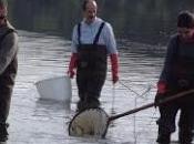 Mercurio medio ambiente Distrito Almadén. fenómeno dinámico