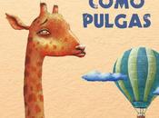 Cuentos como pulgas