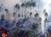 ¿Por incendió Córdoba?