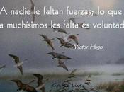 ¿Qué creencia?