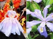 Galliano flores.
