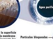 Purificador microbiológico agua