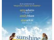 Sunshine cleaning