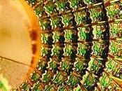 Cuántica fórmulas detector bombas Elitzur Vaidman