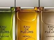 Fleurs Chloé