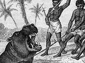 Reflexiones kosovares