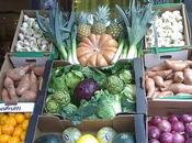 Frutas verduras invierno
