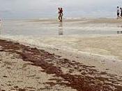 desastre Deepwater Horizon contexto peak