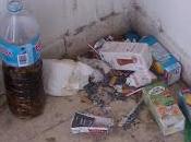 insoportable Estado Malestar