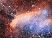 Estrellas jóvenes nebulosa Gamba