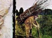 zeppelin 1971