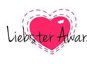 Liebster Award 2013