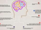 Curiosidades sobre cerebro