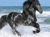leyenda caballo árabe...