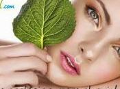 Todo bionatural