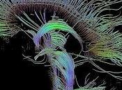 profundo cerebro