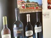 Bodegas Pasiego, Vinos Bobal Color Crianza